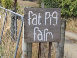 Fat Pig Farm