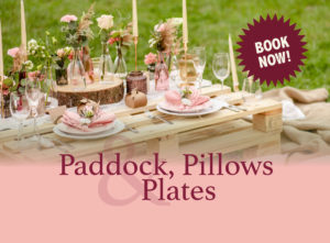 Paddock, Pillows & Plates